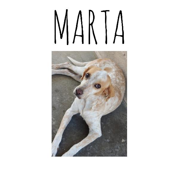 Marta Foto 4